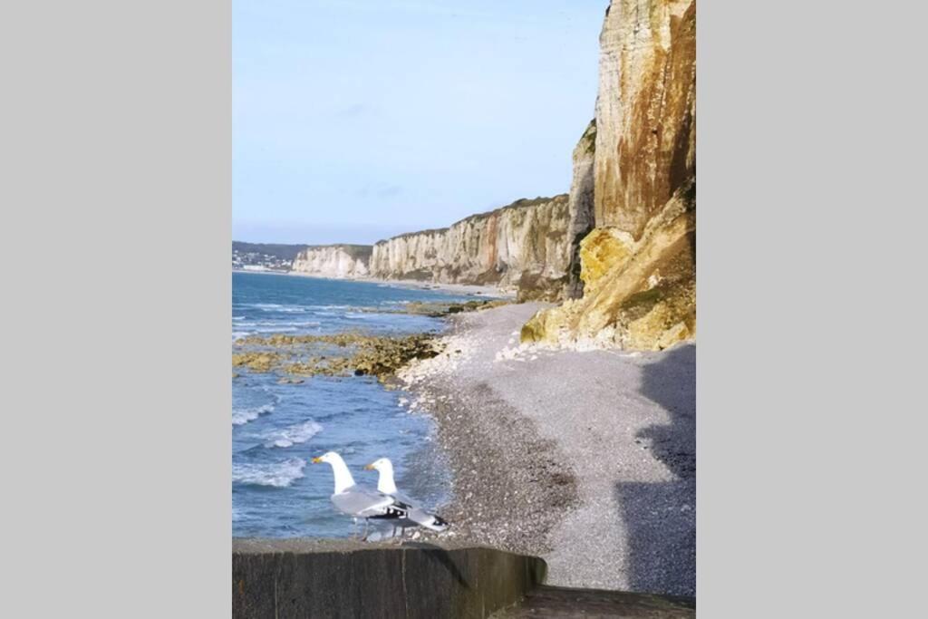 Le Nid Colas Cour Au Sud Velos A Dispo Fecamp Exterior photo